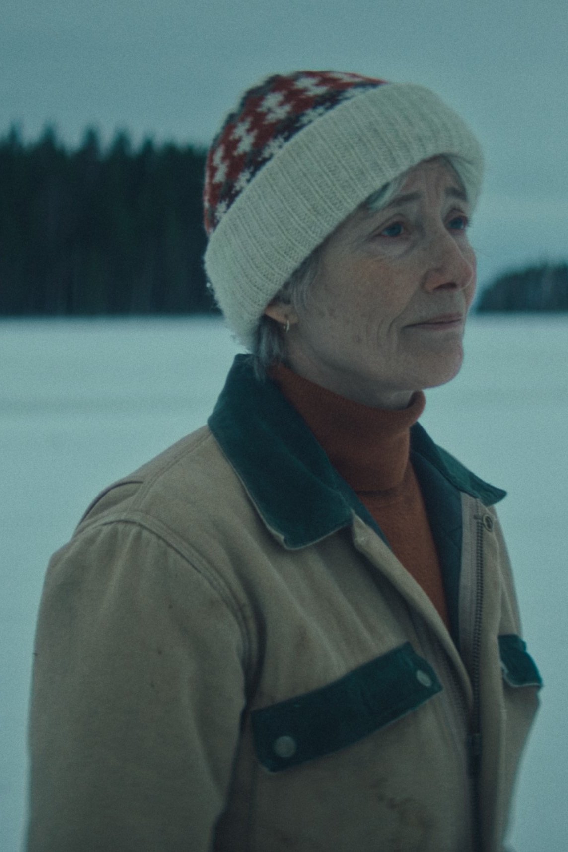 Постер The Dead of Winter